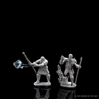 D&D Nolzur's Marvelous Miniatures - Male Firbolg Druid