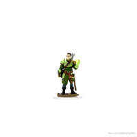 D&D Icons of the Realms Premium Figures: Male Half-Elf Bard