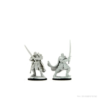 D&D Nolzur's Marvelous Miniatures: Half-Orc Paladin Male