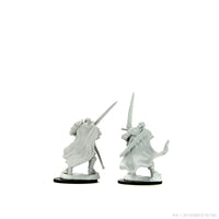 D&D Nolzur's Marvelous Miniatures: Half-Orc Paladin Male