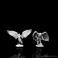 D&D Nolzur's Marvelous Miniatures - Harpy & Aarakocra