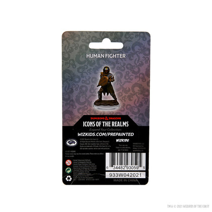D&D Icons of the Realms Premium Figures: Male Human Fighter - 2