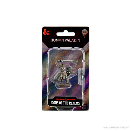D&D Icons of the Realms Premium Figures: Male Human Paladin - 1