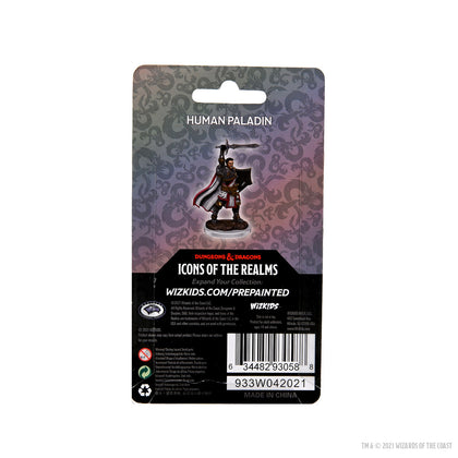 D&D Icons of the Realms Premium Figures: Male Human Paladin - 2