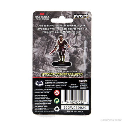D&D Icons of the Realms: Premium Painted Figure - Human Rogue Male - 2