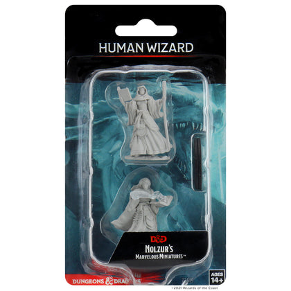 D&D Nolzur’s Marvelous Miniatures: Human Female Wizard - 1