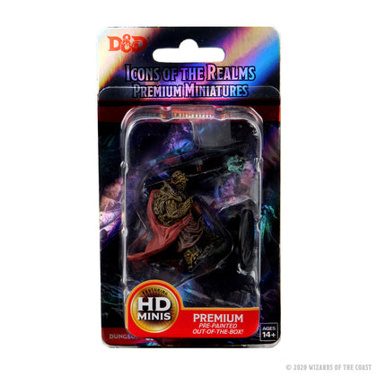 D&D Icons of the Realms Premium Figures: Male Tortle Monk - 1