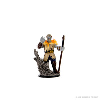 D&D Icons of the Realms Premium Figures: Male Firbolg Druid