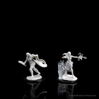 D&D Nolzur's Marvelous Miniatures: Multiclass Warlock + Sorcerer Female