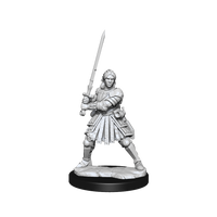 D&D Frameworks: Human Fighter Female - Unpainted and Unassembled