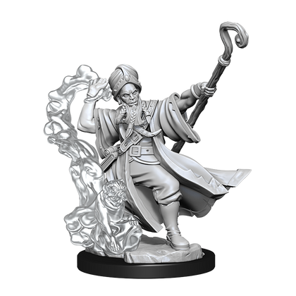 D&D Frameworks: Human Wizard Male - Unpainted and Unassembled - 1