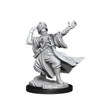 D&D Frameworks: Human Wizard Male - Unpainted and Unassembled