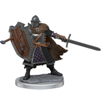 D&D Frameworks: Human Fighter Male - Unpainted and Unassembled