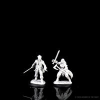 D&D Nolzur's Marvelous Miniatures - Vampire Hunters